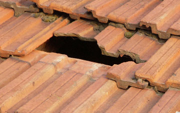 roof repair Rocksavage, Cheshire